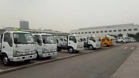 Autocarro con cassone ribaltabile della Cina Isuzu Ftr con 10 Cmb Box Isuzu Ftr Fvr 4HK1 6HK1 Autocarro a cassone dell'autocarro con cassone ribaltabile del Giappone 10tons 12tons 14tons